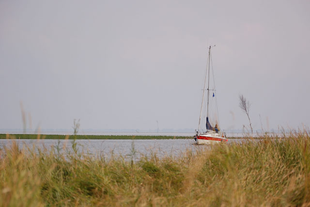 047-20100808115517aa.jpg - Varel August 2010